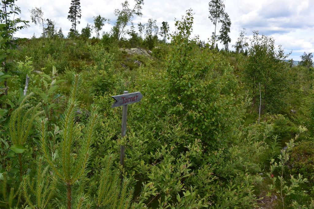 Mieps Huset Dalarna Holiday Kullen  Εξωτερικό φωτογραφία