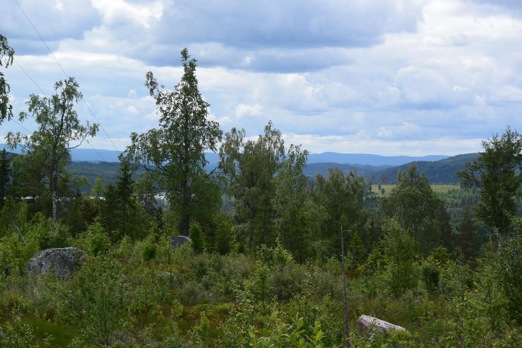 Mieps Huset Dalarna Holiday Kullen  Εξωτερικό φωτογραφία