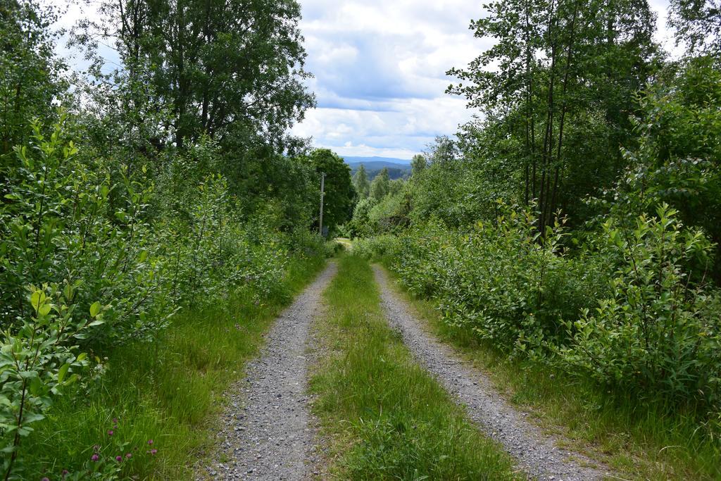 Mieps Huset Dalarna Holiday Kullen  Εξωτερικό φωτογραφία